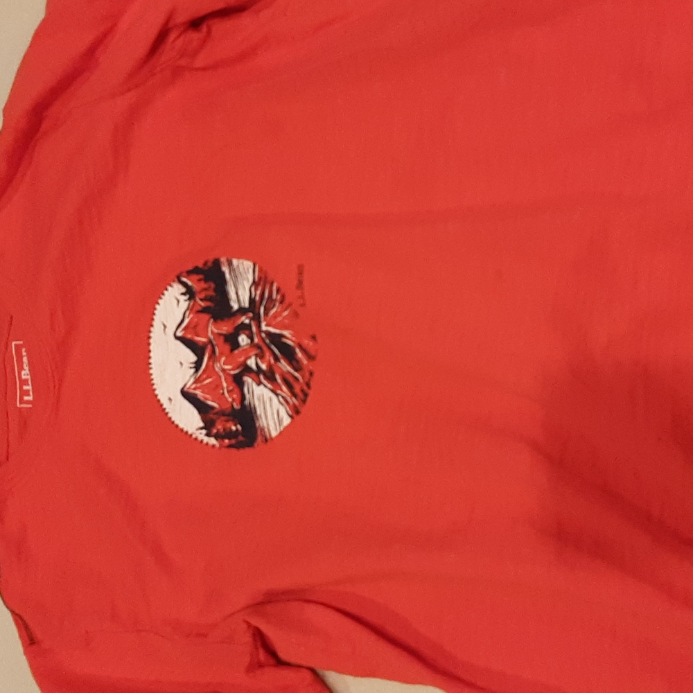 this is a barely worn, LL Bean short sleeve. thick material, not that thin